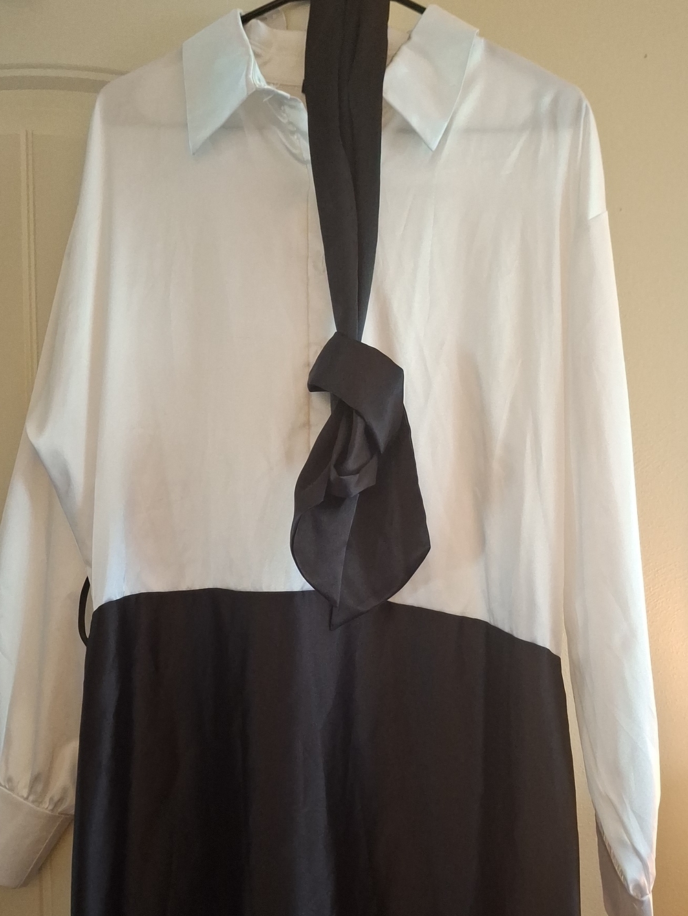 Womans dress